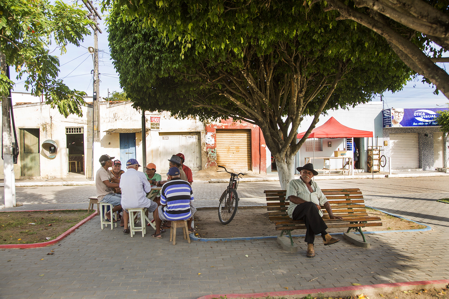 Conversa sobre ficus em Condado (PE), na Zona da Mata Norte