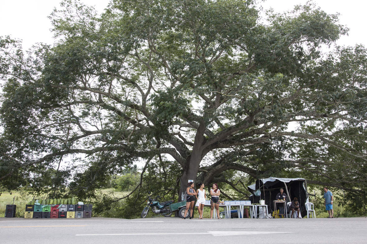 Tamboril em um trevo entre São Bento e Canhotinho (PE)