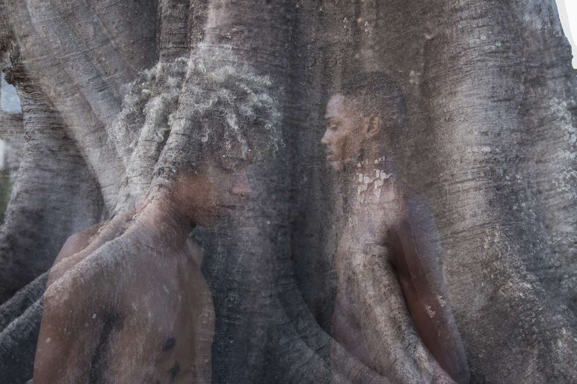 Iroko, orixá do tempo. Gameleira situada no centro cultural afro sítio Pai Adão - Ilê Obá Ogunté em Água Fria, Recife (PE)