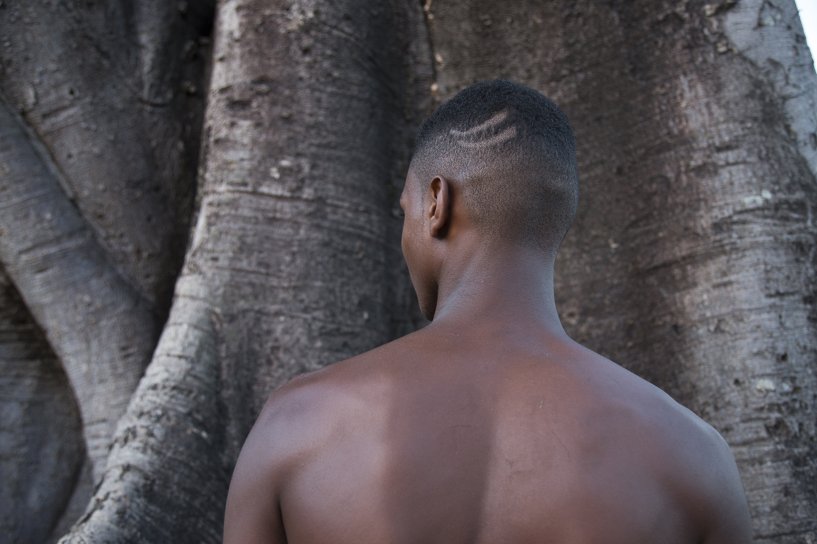 Iroko, orixá do tempo. Gameleira situada no centro cultural afro sítio Pai Adão - Ilê Obá Ogunté em Água Fria, Recife (PE)